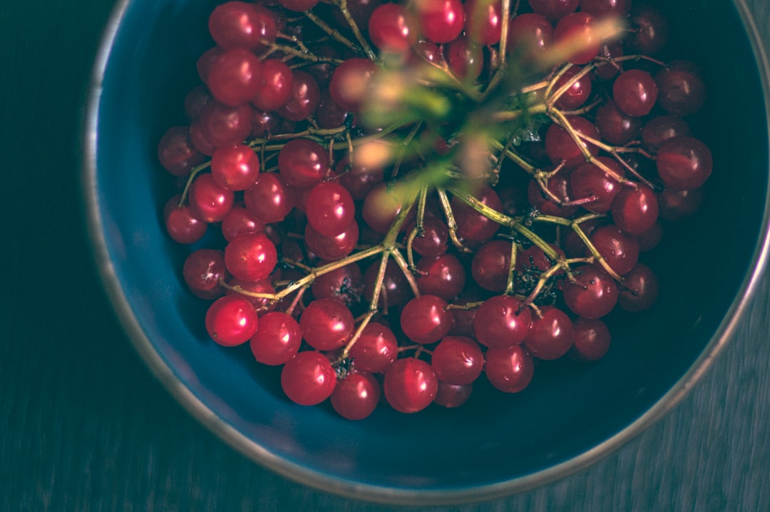 découvrez tout sur l'immunité : son rôle essentiel dans la protection de notre organisme, les facteurs qui l'influencent et les moyens naturels d'améliorer notre système immunitaire pour une meilleure santé et bien-être.