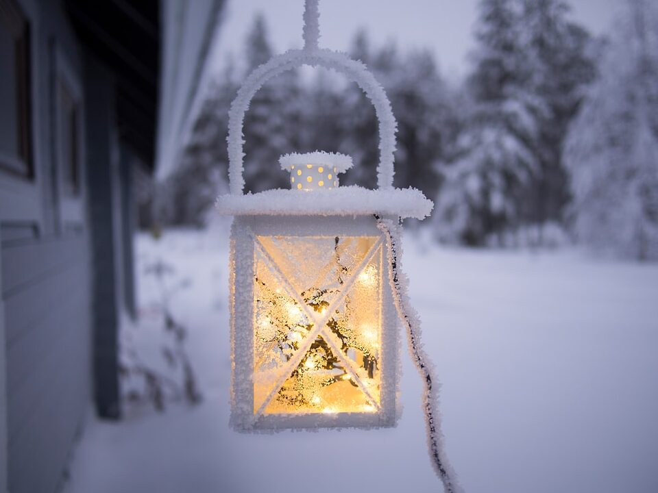 découvrez nos conseils essentiels pour le soin de vos animaux de compagnie pendant l'hiver. assurez-leur sécurité et confort face au froid avec des astuces sur l'alimentation, l'hydratation, et la protection contre les intempéries.