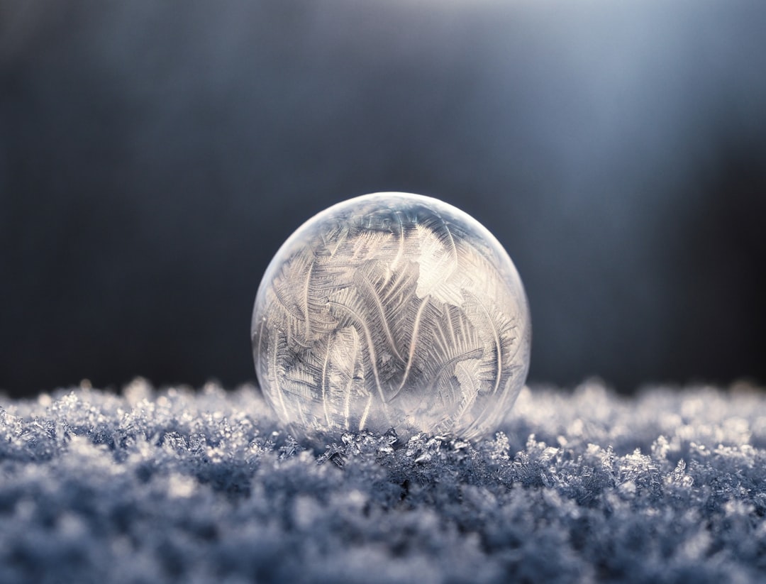 découvrez nos conseils essentiels pour prendre soin de vos animaux en hiver. assurez leur confort, leur santé et leur sécurité durant les mois froids grâce à nos astuces pratiques et recommandations adaptées.