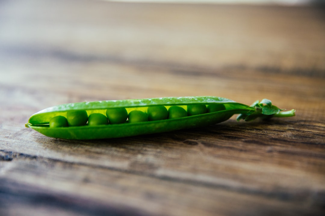 découvrez les bienfaits des herbes fraîches pour votre santé et votre cuisine. apprenez comment ces ingrédients naturels peuvent enrichir vos plats tout en apportant des propriétés nutritives et médicinales exceptionnelles.