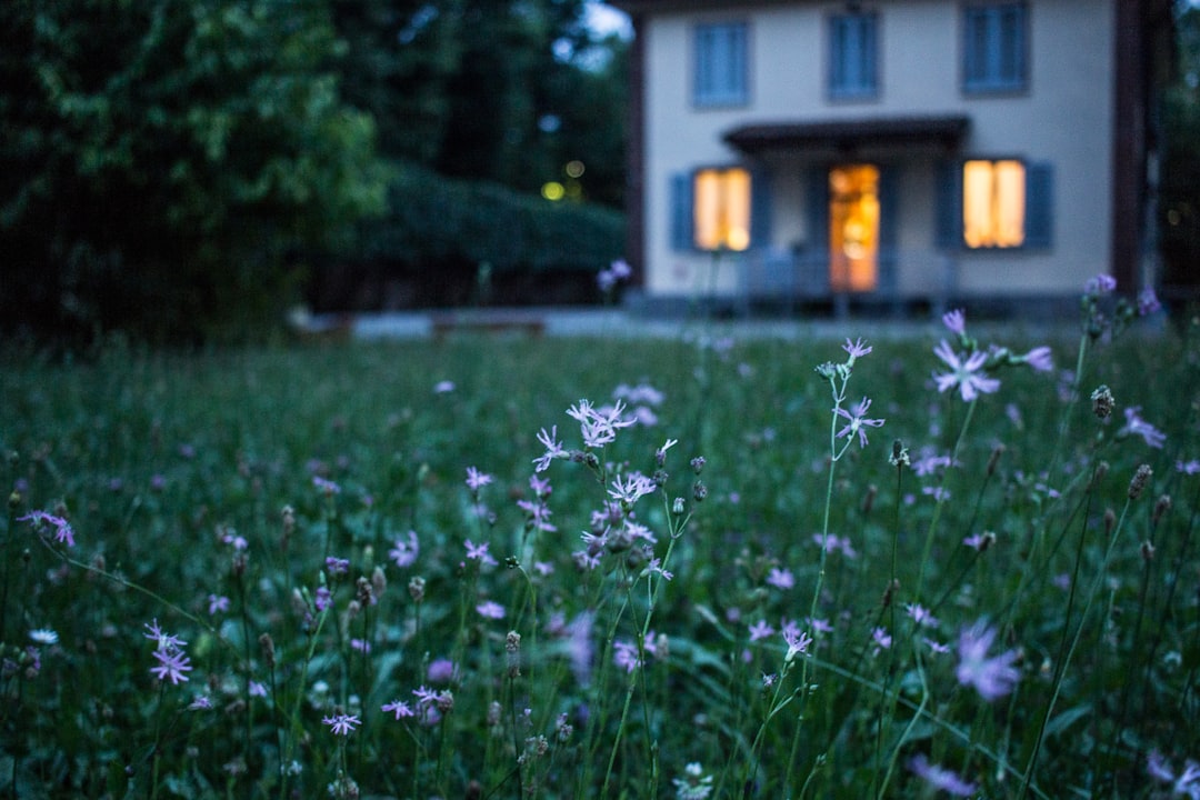 découvrez les erreurs courantes à éviter lors de l'achat d'une maison pour faire de votre projet immobilier un succès. apprenez à naviguer dans le processus d'achat, à choisir le bon financement et à éviter les pièges fréquents.