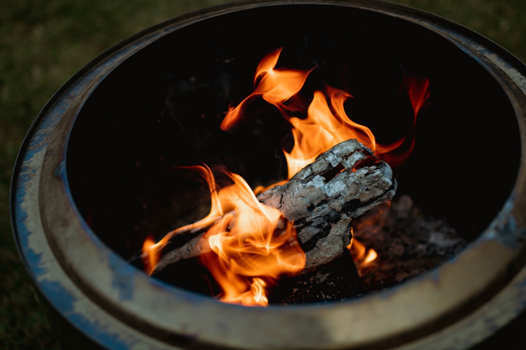 découvrez l'art de la cuisine saisonnière avec des recettes délicieuses et créatives qui mettent en valeur les ingrédients frais de chaque saison. apprenez à préparer des plats savoureux tout en respectant le rythme des saisons pour une alimentation plus saine et durable.