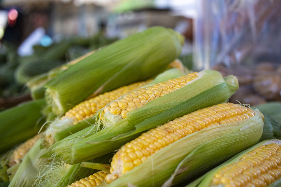 découvrez les superaliments, ces véritables trésors nutritionnels qui boostent votre santé et votre énergie. apprenez à les intégrer à votre alimentation quotidienne pour bénéficier de leurs nombreux bienfaits.