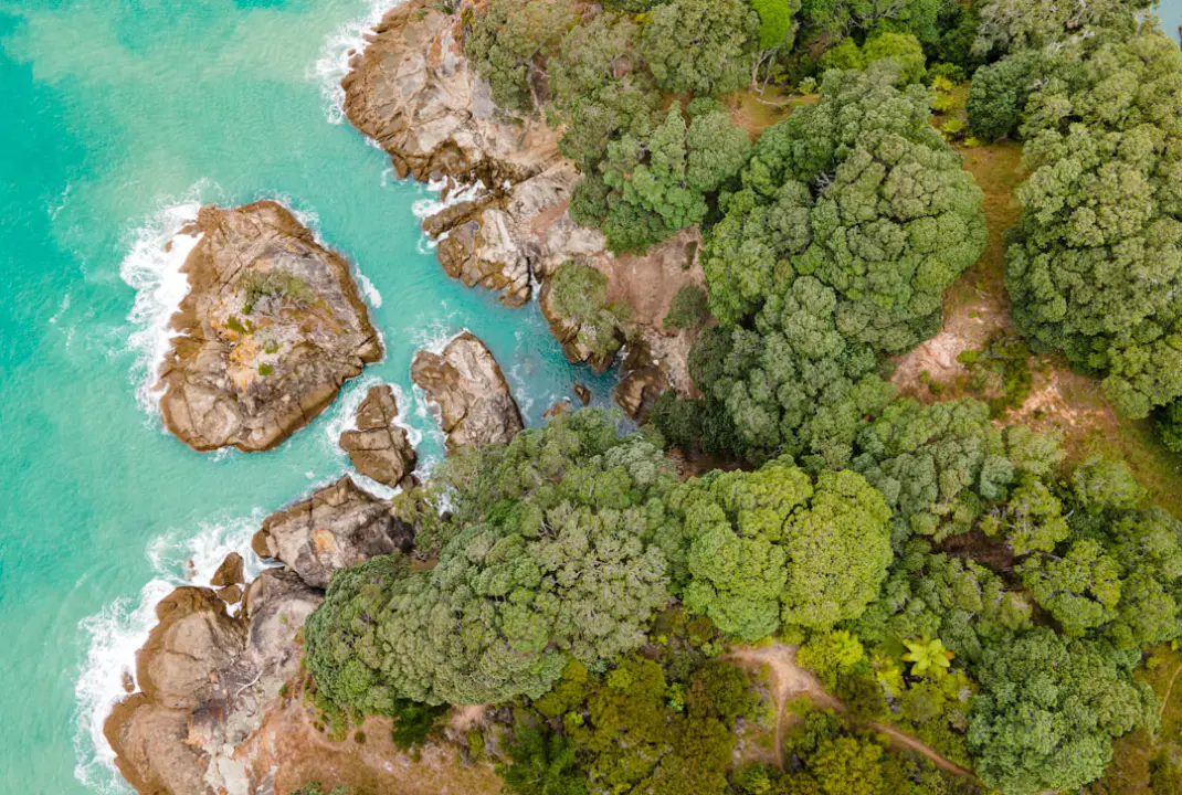 découvrez l'univers fascinant des drones : technologies, applications, conseils d'achat et astuces de pilotage pour profiter pleinement de vos vols. explorez les tendances et innovations de ce secteur en pleine expansion.