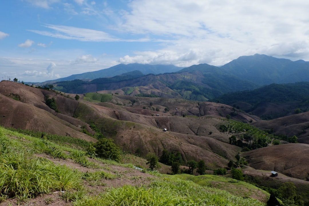 découvrez les enjeux de la déforestation, ses impacts sur l'environnement, la biodiversité et le climat, ainsi que les solutions durables pour préserver nos forêts et lutter contre le changement climatique.