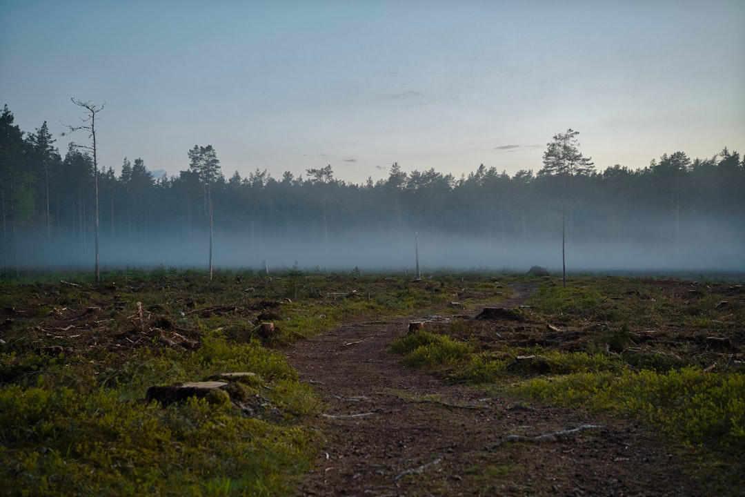 découvrez les enjeux de la déforestation, ses impacts sur l'environnement et la biodiversité, ainsi que les solutions durables pour préserver nos forêts et lutter contre ce phénomène alarmant.