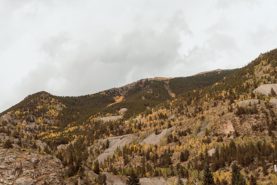 découvrez les plus belles routes panoramiques qui offrent des paysages époustouflants et une expérience de conduite inoubliable. partez à l'aventure sur des circuits pittoresques et vivez des moments de sérénité au cœur de la nature.