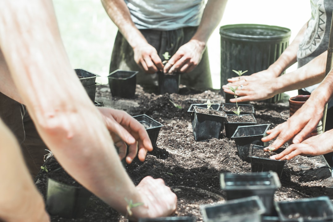 découvrez les techniques de jardinage durable pour cultiver des plantes tout en préservant l'environnement. apprenez à utiliser des méthodes naturelles et responsables qui favorisent la biodiversité et réduisent votre empreinte écologique.