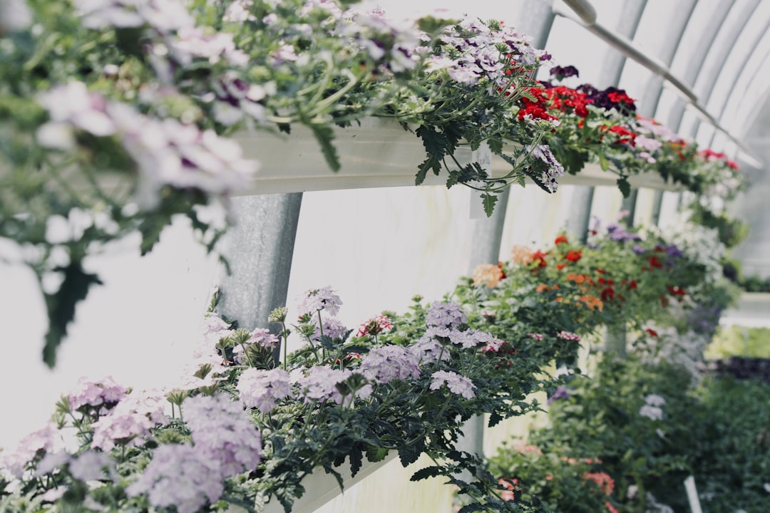 découvrez l'art du jardinage d'intérieur : apprenez à cultiver des plantes et des herbes chez vous, même dans les plus petits espaces. transformez votre intérieur en un oasis de verdure grâce à nos astuces et conseils pratiques.